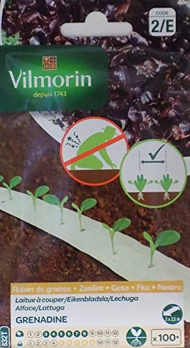 Vilmorin 2 Cintas biodegradables 100 Semillas Lechuga Grenadine (Cultivo fácil)