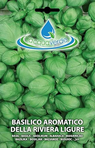Semi Di Basilico Aromatico Ligure Per Orto In Bustina