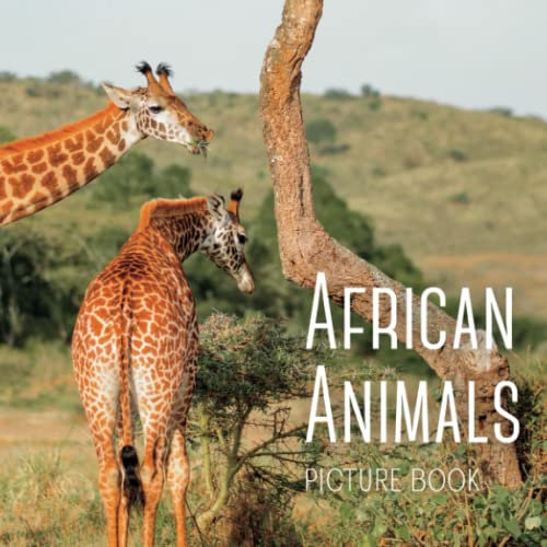 African Animals: Picture Book (Peach Tree Books: Picture Books)