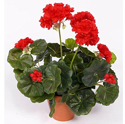 Kunstpflanzen-discount.com Geranium konstgjorda blommor röd med blad, höjd ca 30 cm - konstgjorda pelargonier dekorativa pelargoner för pluggning