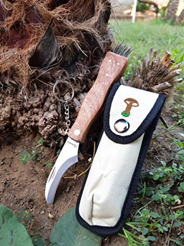 Cuchillo de setas con cepillo cuchillo para recoger setas, porches, trufas con hoja de acero inoxidable con funda también para niños de 10 años