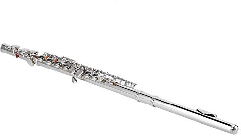 Silverflöjt, Professionell Flöjt med Fodral, Städstav och Tygmusikinstrument för Nybörjare Barn Vuxna Som Spelar