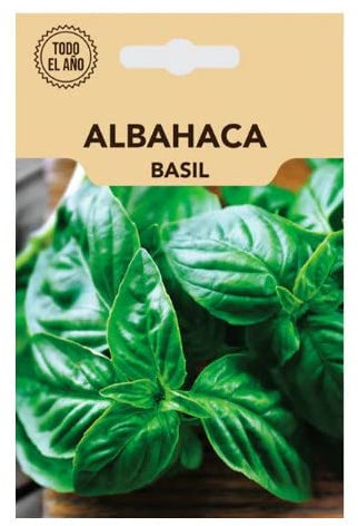 Semillas Albahaca Pesto Sobre de Semillas de Albahaca Variedad Italiana