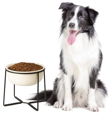Comedero Perro Elevado Grande Cerámica - Cuenco para Perros con Soporte Antideslizante - Bebedero Alto - Bol para Comida y Agua - Platos Elevados para Perros Medianos y Grandes - 1600 ml
