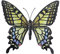 LARGE METAL COLOURFUL BUTTERFLY GARDEN DECORATION WALL ART 31cm x 35cm