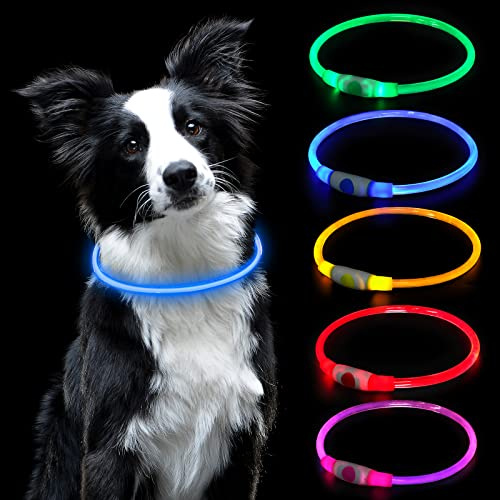 AUAUY Collier LED Lumineux pour Animaux Rechargeable USB, Imperméable et Réglable pour Petits, Moyens et Grands Chiens et Chats (Bleu)