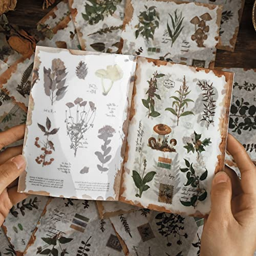 AVECMOI Pegatinas de Planta para Scrapbooking, Diario, Planificador, Bullet Journal, Tarjetas, Adultos, Accesorios para Álbumes de Recortes, Libro de Pegatinas Washi Vintage - 20 Hojas (170 piezas)
