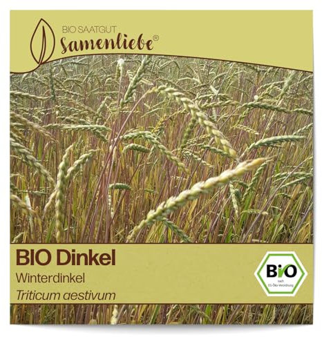 Samenliebe BIO Dinkel Samen Blumensamen Winterdinkel 200 Samen Blumen Samen Garten Dinkel Saatgut samenfeste einjährig Pflanzen für Garten und Freiland