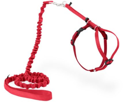 PetSafe Easy Walk, Arnés para Gatos, con Correa Elástica, Arnés de Seguridad, Ajustable, Cómodo, con Sección Elástica - Rojo, S