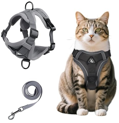 MOTIBACK Katzengeschirr mit Leine - Ausbruchsicheres Softgeschirr für Katzen | Verstellbares Brustgeschirr & Katzenleine Set | Cat Harness für Sicherheit & Komfort (L)