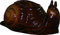 Original K&K Pflanzschnecke III, 32 x 19 x 18 cm, braun-geflammt aus hochwertiger Steinzeug-Keramik