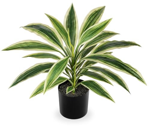 Oairse Pianta artificiale dracaena da 48 cm in vaso con vaso nero artificiale Dracaena, piante tropicali artificiali per bagno, soggiorno, ufficio, scrivania, scaffale, bianco e verde