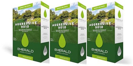 Emeraldgreen AGGRESSIVE 9010, Semi per Prato, Alta Tolleranza a Calpestio e Siccità, Adatto per Zone Soleggiate, alta Resistenza a Malattie e siccità, 3kg (120mq) (3)
