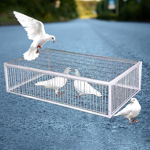 Hoixin Trampa para pájaros Trampa para Animales Jaula Trampa Palomas Jaula Trampa para pájaros con 2 entradas unidireccionales y claraboya Fácil de Montar(40x30x26cm)