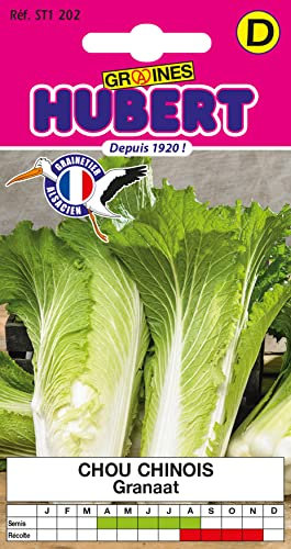 Graines de Chou Chinois Granaat- 0,5 grammes