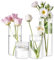 Winter Shore Floreros para Centros de Mesa Decoracion (Pack de 4) - Jarron Cristal Cilíndrico para Bodas - Florero Cristal para Ramo - Jarrón Cristal Pequeño Transparente para Flores