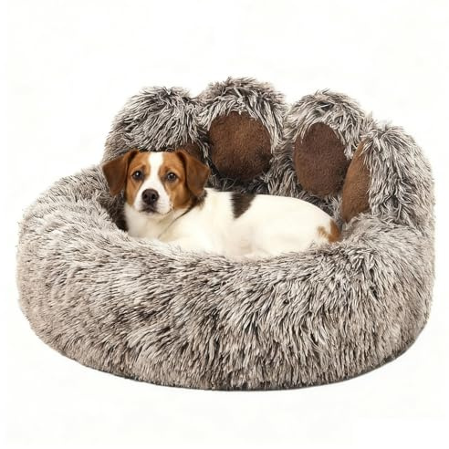 SHJOEE Lettino per Animali Domestici Letto Ortopedico per Gatti e Cani Cuccia Cane Interno Morbida e calda Adorabile cuccia per cani a forma di zampa d'orso di piccola e media (Caffè, 60cm)