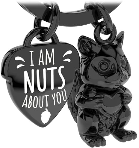 LANOLU Portachiavi scoiattolo Schiaccianoci portafortuna portachiavi partner e per migliore amica, coppia regalo amico in metallo, Nero