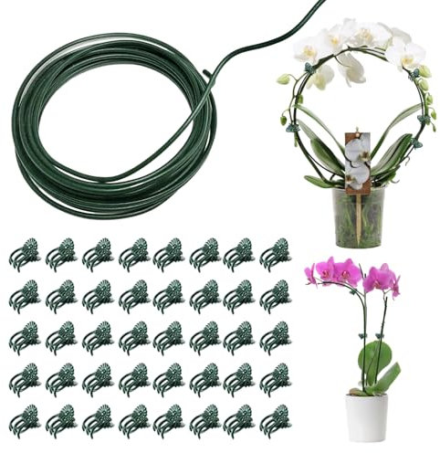 1 Pièces DIY Tuteurs pour Plantes Tuteur Plante Interieur avec 40 Clips de Support pour Plantes Tuteur Tomate Tuteur Plante Grimpante Tuteur Plante pour Plantes Convient aux Roses Pivoines Lys Vignes
