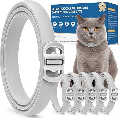 Lot de 6 colliers pour chat gris