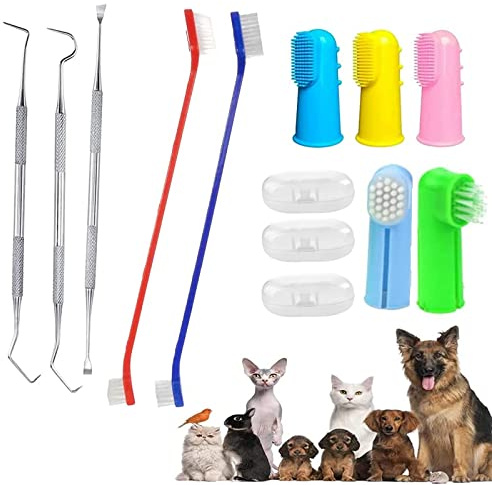 QeeHeng Lot de 10 brosses à dents pour chien et chat - Outil de retrait de plaque dentaire - Convient pour chats et chiens de toutes tailles