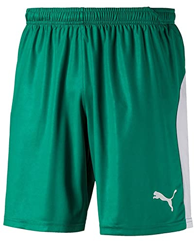 PUMA Liga Pants - Pepper Green/White, X-Large