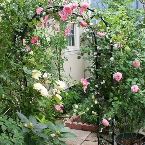 Arco da Giardino per Rose Rampicanti Metallo Arco Arco per Rose Romantico Arco di Nozze Padiglioni Larghezza 80-350cm Durevole(Width 350x high 220cm(138x86in))