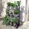 Ptsuker 3 Tier Metal Plant Stand, Herb and Flower Stage Metal Classic Design, Ladder Shelf Potted Plants Display Rack, Indoor Outdoor Multi-Level Flower Pot Rack for Garden, Balcony & Patio