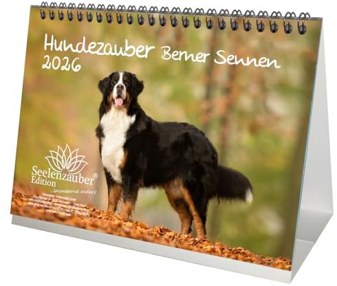 Cani magici Berner Sennen - Calendario da tavolo DIN A5, per cuccioli e cani 2026 – Seelenzauber