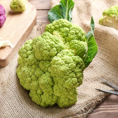 coliflor semillas de hortalizas resistentes semillas de coliflor Camas elevadas el jardín Comprar hortalizas invierno jardín perennes resistentes 350semillas
