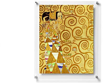 B&NN Double Panel Floating Clear Acrylic Wall Mounted Sign Frame Certificate Frame Wall Photo or Document Frame (11x14)