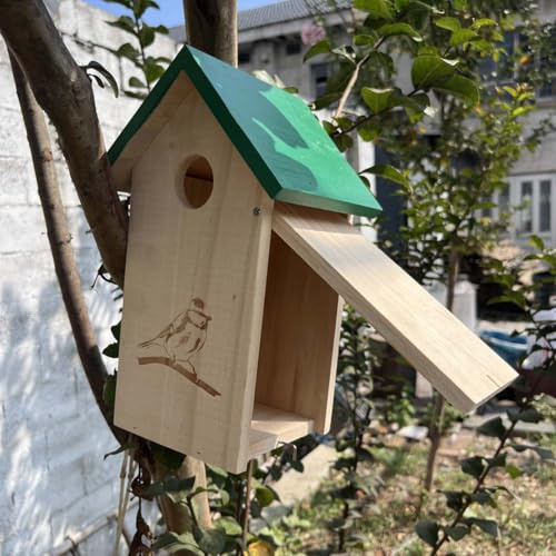 Nichoir à oiseaux à peindre avec tube en métal, bois épais, kit de construction - Nichoir pour oiseaux pour l'extérieur - Résistant aux intempéries - Nichoir pour hirondelle, roi de clôture, poussins