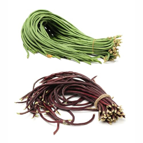 semillas de frijol jardín, espárrago frijol cama de balcón medicinales 200pcs