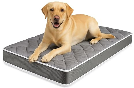 MATTREX | Colchón para Perro Tamaño 140x70x12 Fabricado en España, Reversible Invierno y Verano - Cama Perro ortopédica Transpirable, antiácaros, 12 cm Grosor Certificado Oeko-Tex