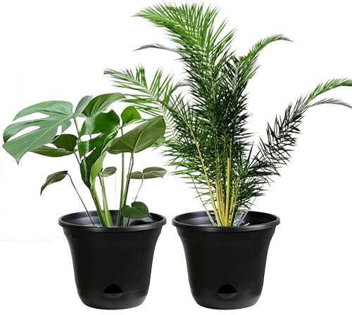 San Marino Lazy Planters – Vaso per piante autoirrigante – Grande fioriera – per interni ed esterni (2 x 25 cm)