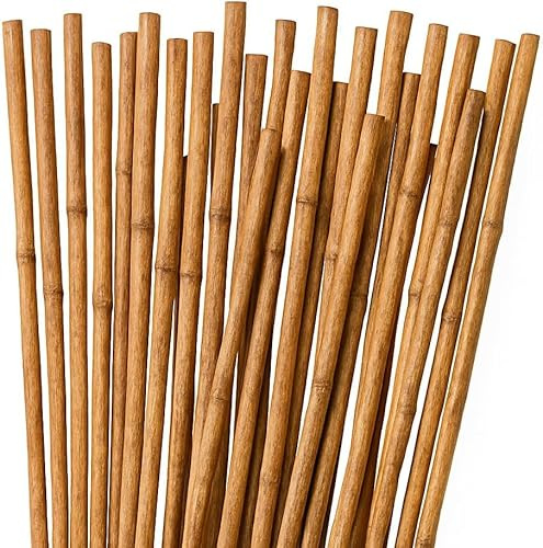 10 Tutores de Bambú 120 cm Ø 10/12 mm | Estacas de Jardín y Cañas para Huerto | Soportes Resistentes para Macetas, Flores y Cultivos | Color Natural | Eco-Friendly