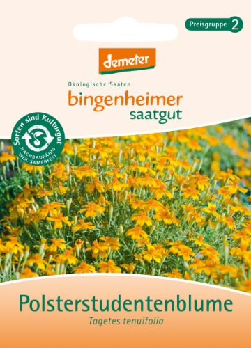 Polsterstudentenblume
