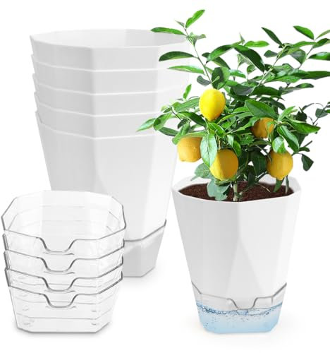 MIUUIPI Set di 6 vasi da fiori autoirriganti, per piante e piante, ideali per interni e giardini, 13,5 x 12,5 x 8 cm