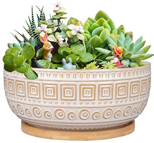 G EPGardening 8 Inch Ceramic Succulent Planter Pots for Indoor Plants Round Shallow Bonsai Planter Pot with Drainage and Bamboo Saucer White