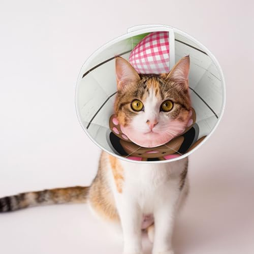 Qewfoju Brown Bunny Bottom and Easter Eggs Print Cat Cone Collar Cats Neck After Surgery to Stop Licking and Scratch Cone Lightweight Pet Head Cones for Cats