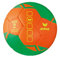 Erima GRIPTONYTE Training Handball, Green/Orange, 1