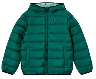 Champion Legacy pojkar, ljus utomhusjacka, M, grön, gRÖN, M