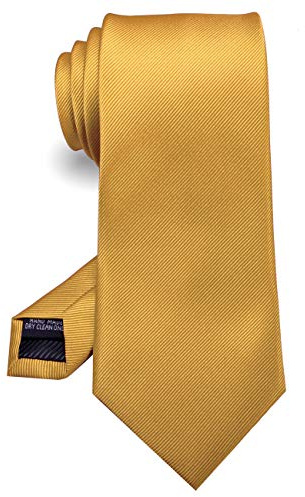 RBOCOTT Silk Gold Tie Business Wedding Formal Necktie for Men (Gold)
