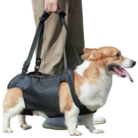 Pettorina per cani con supporto per la schiena e supporto per fianchi – Guinzaglio di supporto morbido per zampe posteriori, maniglie, supporto di sicurezza per cani disabili, feriti o anziani