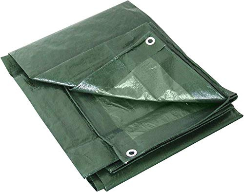 Labor 0300153 Lona de PVC Reforzada con Ojales, Verde, 5 X 6 M