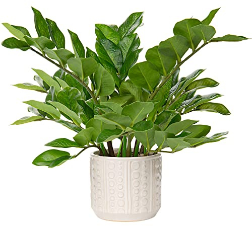 Briful Faux Plants Indoor 17 Artificial ZZ Plants in Ceramic Pot Fake Potted Zamioculcas Silk Plants for Home Table Decor Bedroom Aesthetic (1Pack)