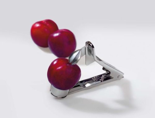 G S D Haushaltsgeräte 31 052 Pflaumenentsteiner aus Edelstahl