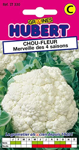 Graines de Chou-fleur Merveille des 4 Saisons - 1 gramme