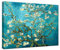 Wieco Art – Stampa artistica, riproduzione del famoso dipinto a olio di Van Gogh “Ramo di Mandorlo Fiorito”, pronta da appendere, per camera da letto, decorazione in casa