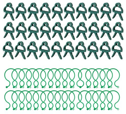 PEXIVOZ 30 pezzi Morsetti per Piante e 30pcs Twisty Anelli，Giardino Piante Clip di Supporto per Pianta, Giardino Piante Clip, Riutilizzabile Clip Supporto Lmpianto, per pomodori, Rose e Altre